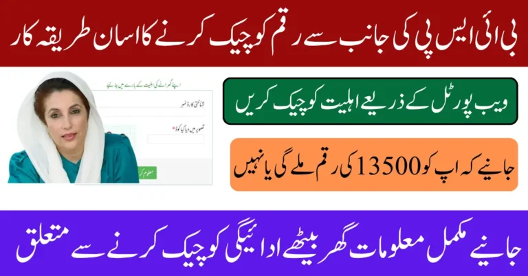 8171 Portal 2025 For Check Recent BISP 13500 Payment Using CNIC Know Complete Details