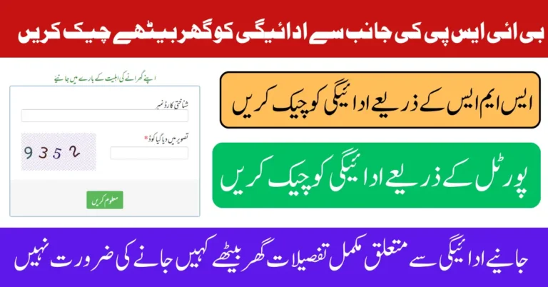 BISP 8171 Result Check Online By CNIC