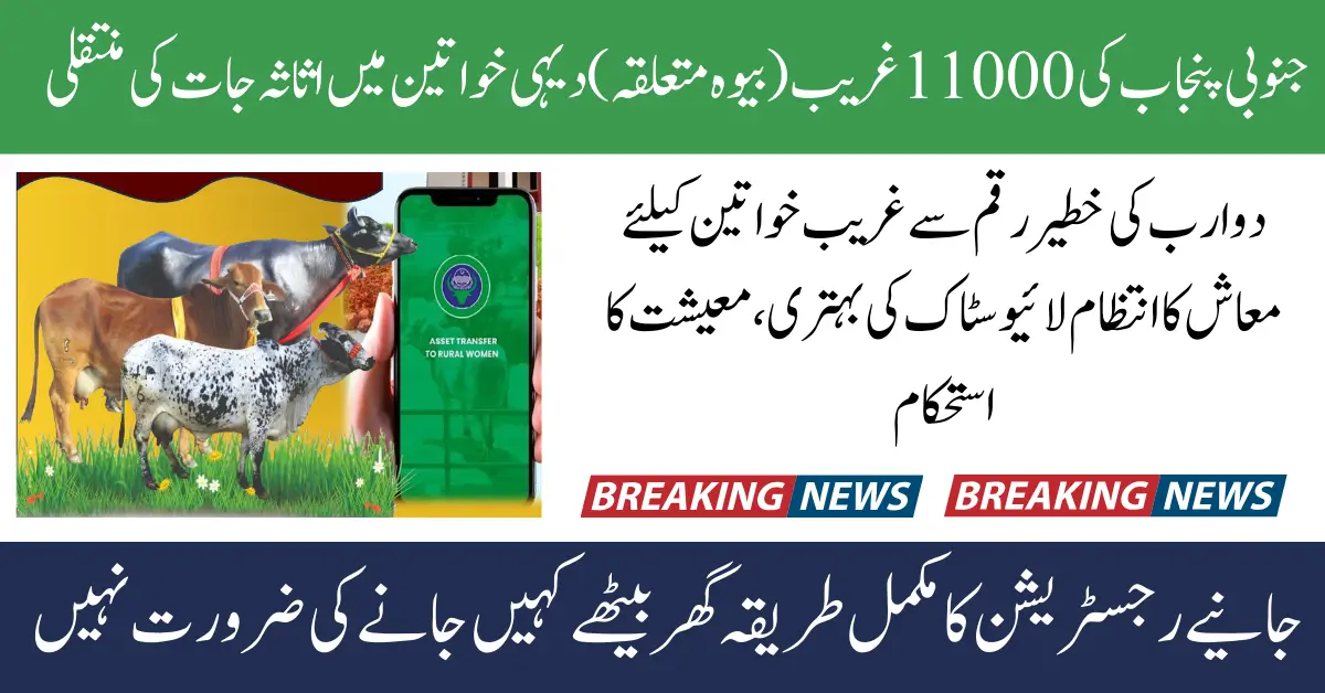 CM Punjab Free Livestock Program Registration Again Start For Phase 2 Know Details