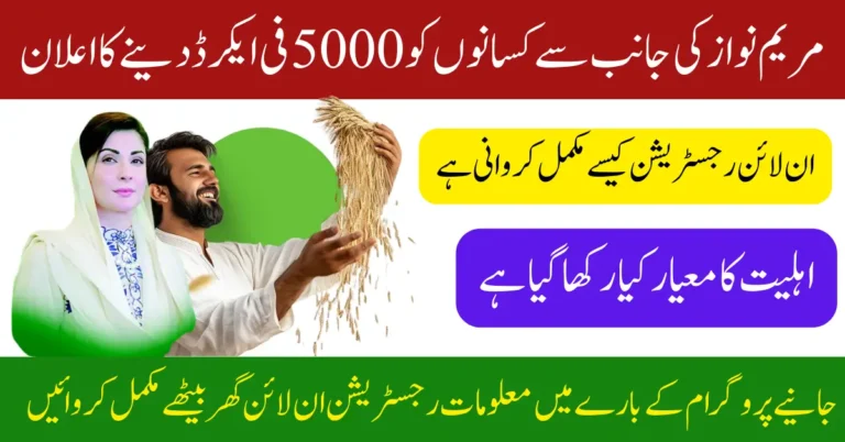CM Punjab Wheat Support Program 2025