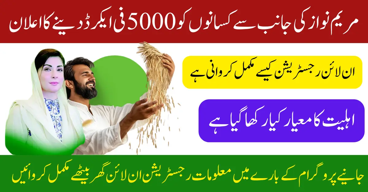 CM Punjab Wheat Support Program 2025