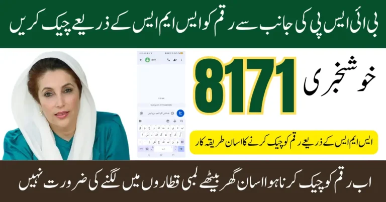 BISP 8171 SMS Payment Status Check If Web Portal Not Working Properly In 2025