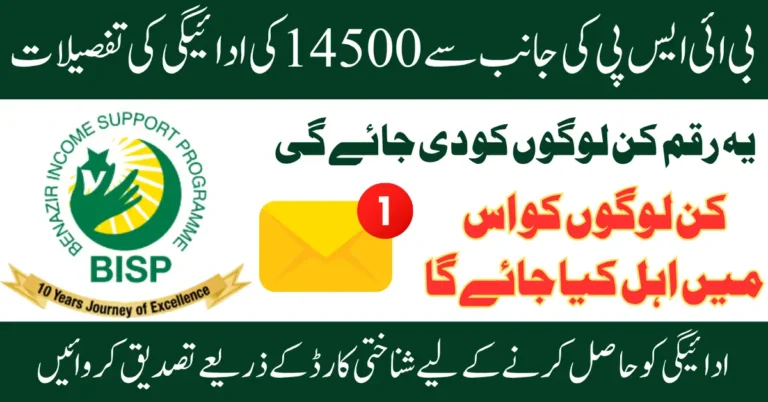 BISP June 2025 Payment Details 14500 For Newly Submit Application Women