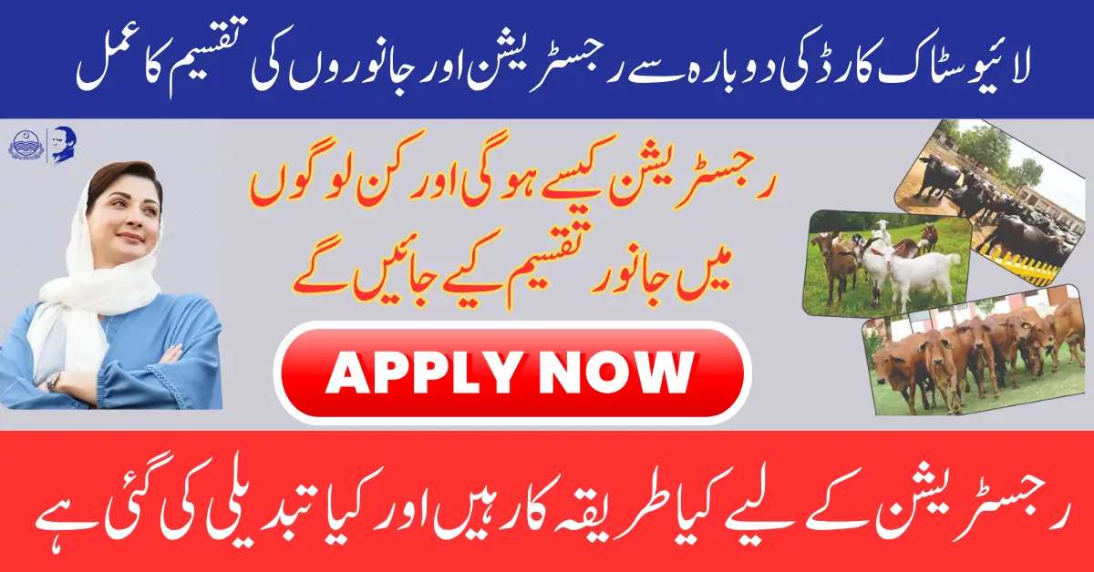 Livestock Distribution Program Punjab In 12 Districts Free Cows and Buffaloes