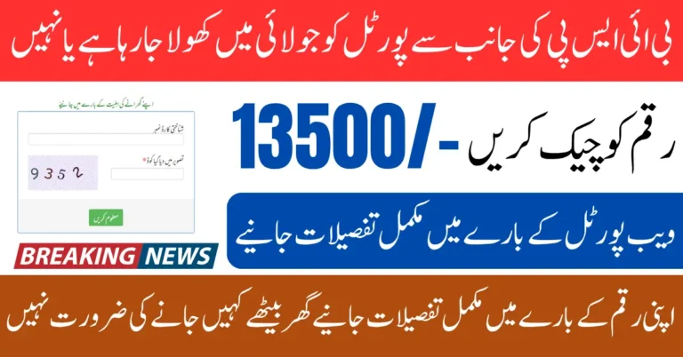 BISP 8171 Portal Update July 2025 Check Payment Status Online Using CNIC Number