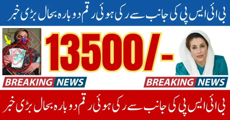 BISP 8171 Stopped Payments Released In July 2025 Know Full Details Step By Step