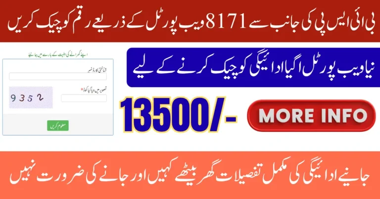 BISP 8171 Web Portal 2025 Check CNIC Online for 13,500 Payment Full Guide