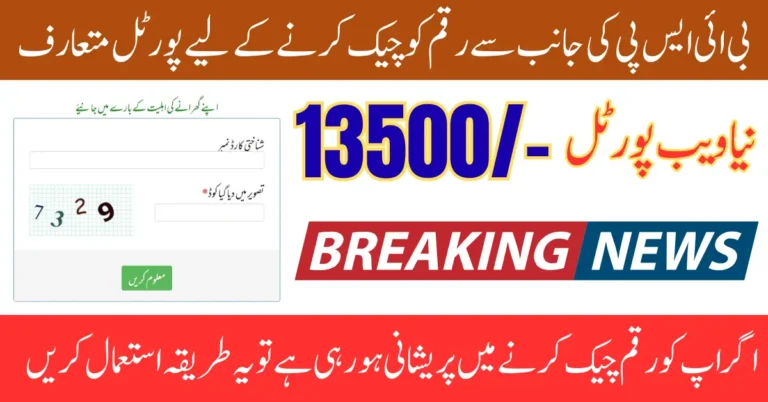 BISP 8171 Web Portal 2025 To Check 13500 Payment Sitting At Home Latest Update Full Details