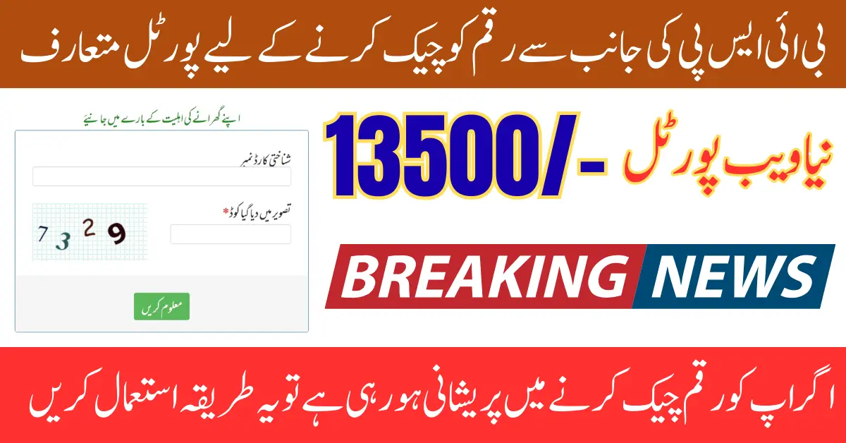 BISP 8171 Web Portal 2025 To Check 13500 Payment Sitting At Home Latest Update Full Details
