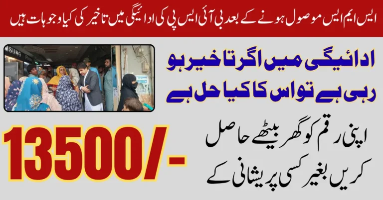 BISP Payment Delayed After Receiving SMS Complete Solution for 2025