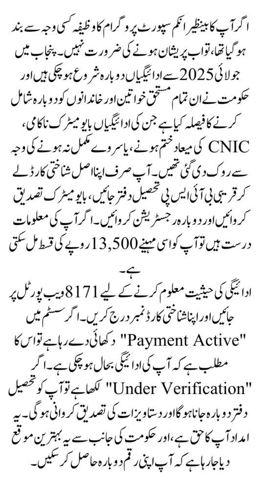 BISP Punjab July 2025 Payment Reactivation Simple Process To Check Status Using CNIC