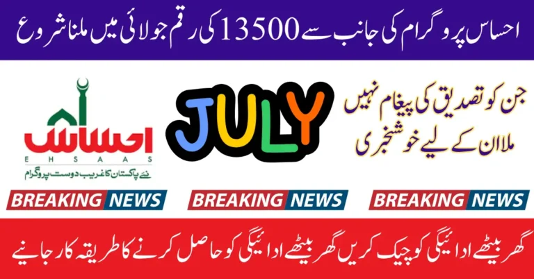 Ehsaas 8171 Payment July 2025 For Women Who Receive 13500 Message Complete Guide