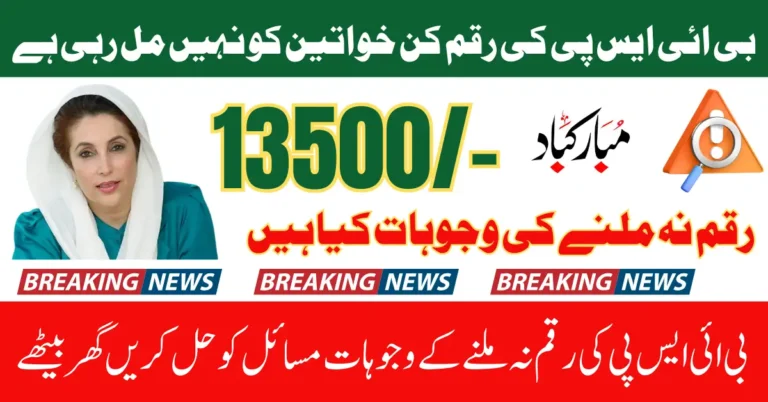 8171 BISP Payment Issues 2025 Common Problems And Fixes For Registered People Full Guide