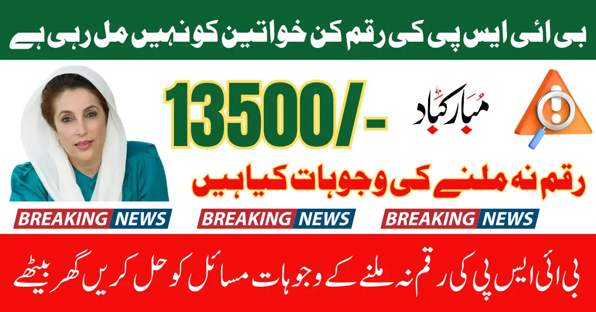 8171 BISP Payment Issues 2025 Common Problems And Fixes For Registered People Full Guide