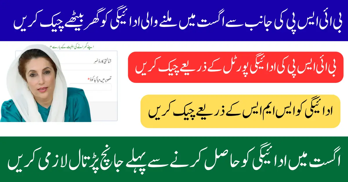 BISP 8171 August 2025 Payment Check Using Online Portal And SMS Full Guide Step By Step