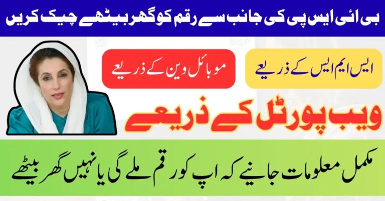 BISP 8171 Eligibility Check Online In August 2025 Complete Guide