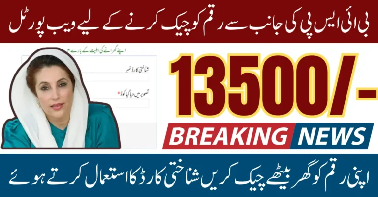 BISP 8171 Web Portal CNIC Check September 2025 Update For Women Who Applied Already for 13500