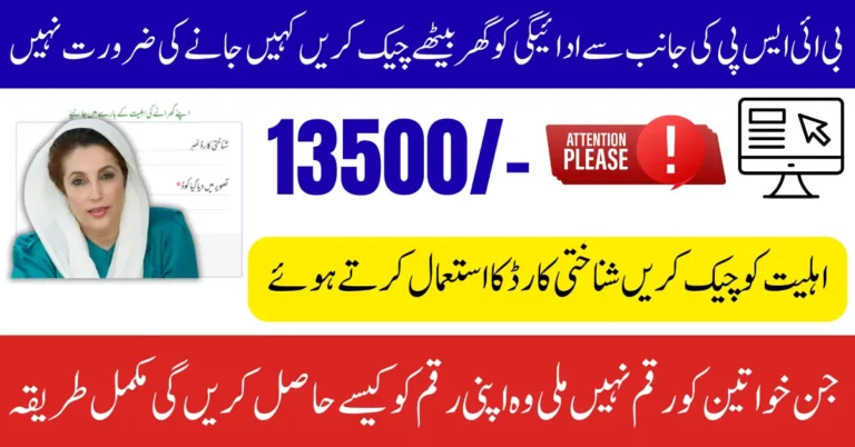 BISP 8171 Web Portal Guide 2025 To Check Newly Registered Women Payment Full Process