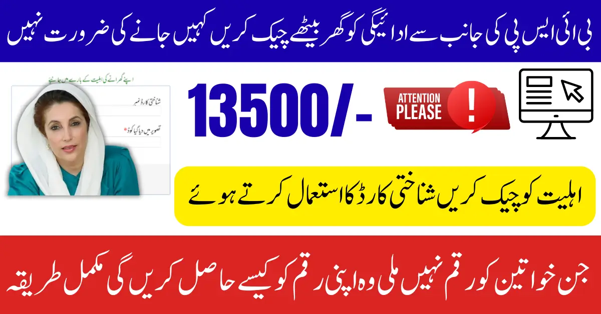 BISP 8171 Web Portal Guide 2025 To Check Newly Registered Women Payment Full Process