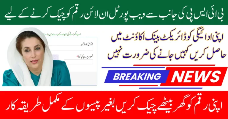 BISP Web Portal 8171 Check And Get Payment Into Digital Registered Account Know Full Details 2025