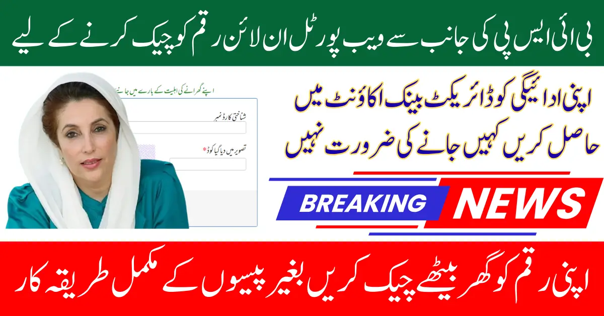 BISP Web Portal 8171 Check And Get Payment Into Digital Registered Account Know Full Details 2025