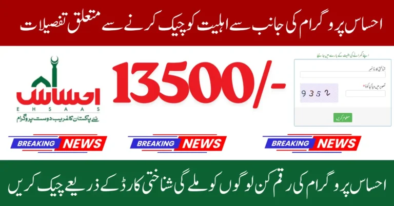 Ehsaas Program 8171 Online CNIC Check Complete Guide for Registration and Eligibility