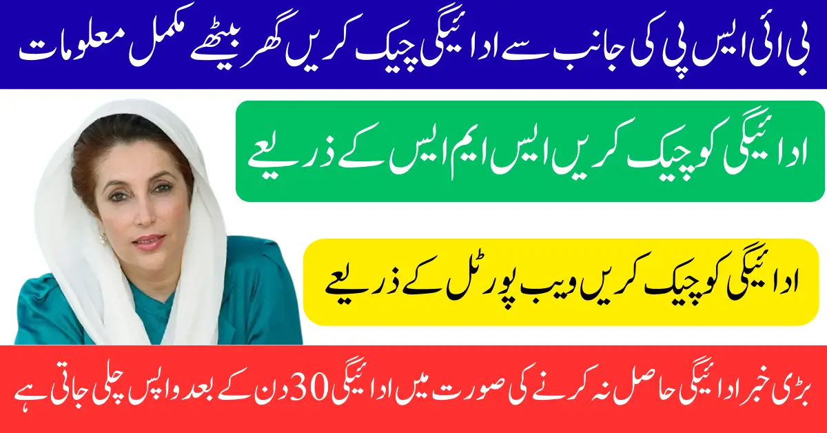 BISP 8171 Payment Check Discreet 2025 For Quickly Widrawal Before Going Back Full Guide