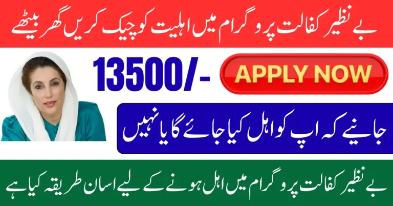 Benazir Kafalat Program Check CNIC Online Payment Using Online Portal 2025 Full Guide