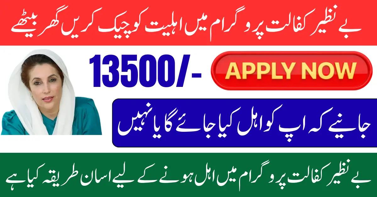 Benazir Kafalat Program Check CNIC Online Payment Using Online Portal 2025 Full Guide