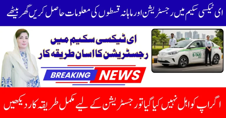 E Taxi Application Portal Opened 2025 For Fleet Owners And Individuals Monthly Repayment Schedule