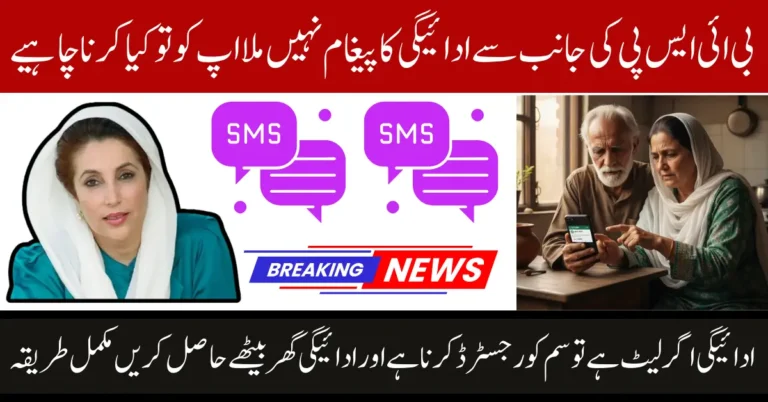 Resolve BISP 8171 SMS Issues And Why Payment Is Late Know Full Guide Step By Step 2025