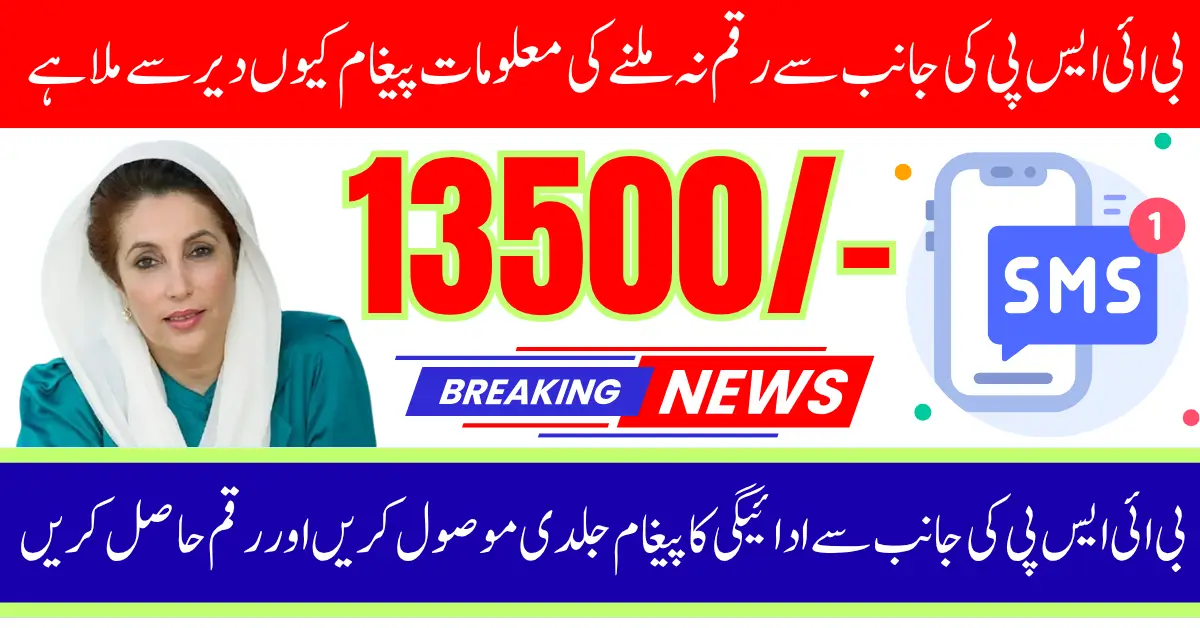 BISP 8171 Payment SMS Delay November 2025 And Get 13500 Timely Know Full Guide Step By Step