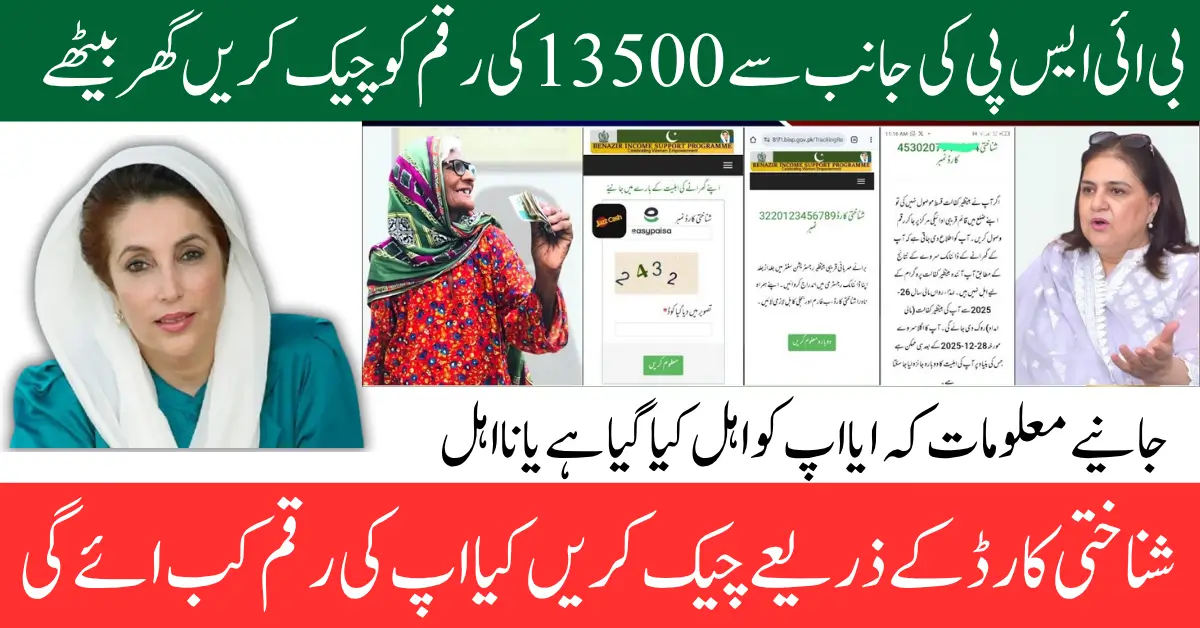 Discreet BISP 8171 Payment Methods Checking Ways Using CNIC Know Full Guide Step By Step 2025