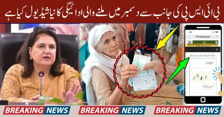 8171 December Payment Schedule Know Details Of Campsite And Registered Agents Full Guide 2025