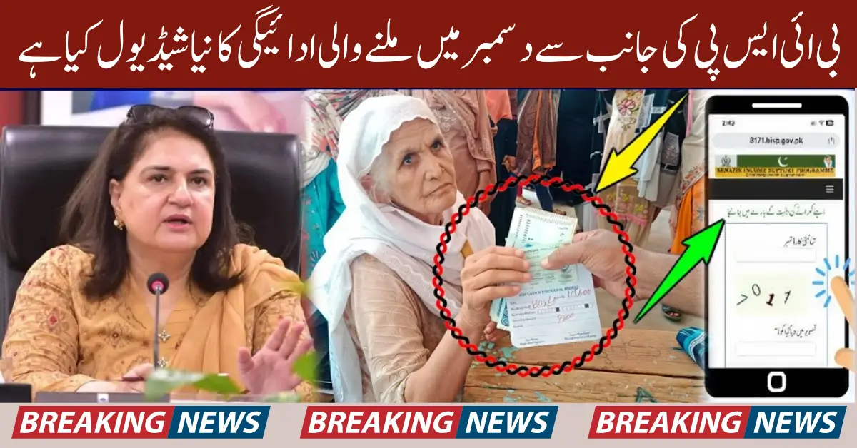 8171 December Payment Schedule Know Details Of Campsite And Registered Agents Full Guide 2025