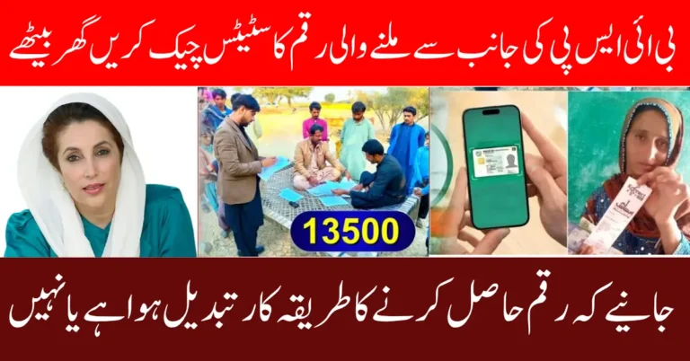 8171 November 2025 Update For New Registered Women In BISP Full Guide Step By Step