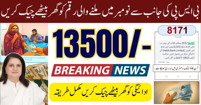 8171 November 2025 Update For Payment Status Check And Withdrawal Process Know Full Guide