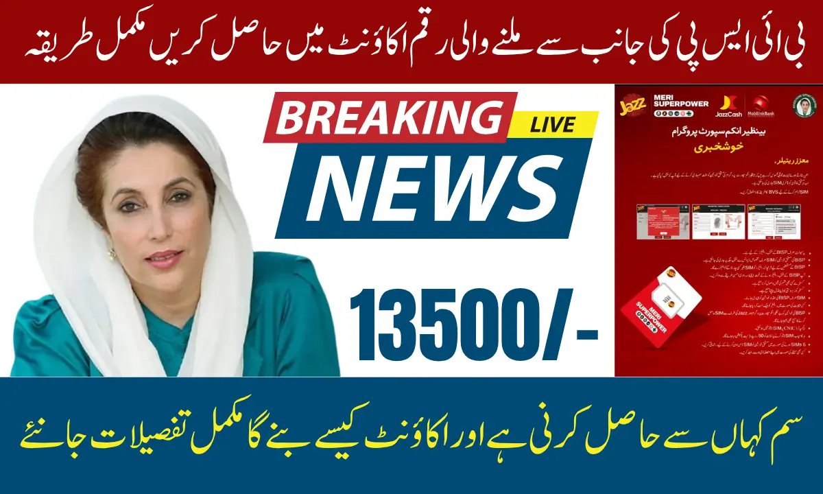 BISP 2025 Wallet Setup Eligibility Check, SIM Activation & Payment Process