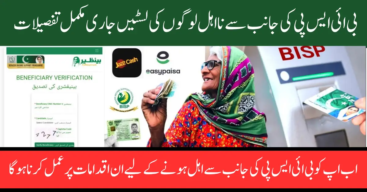 BISP Disqualified Persons List 2025 Check Name And Become Eligiable Full Guide For 13500 Payment