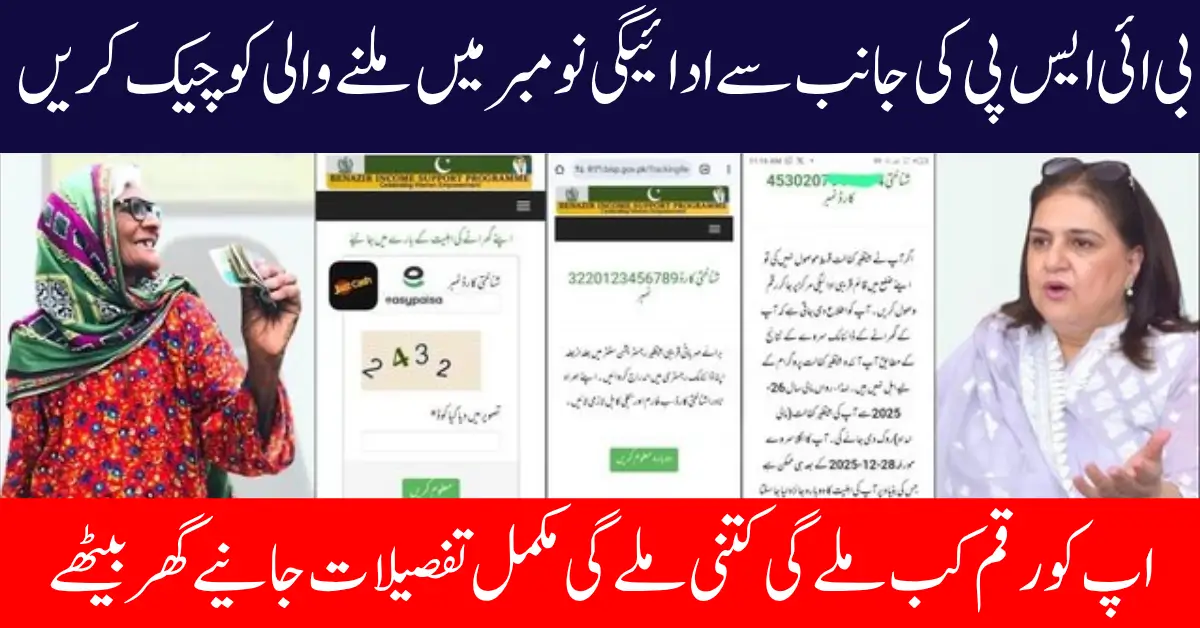 BISP New Payment Rs 13500 Released in November Check Complete Details Step by Step