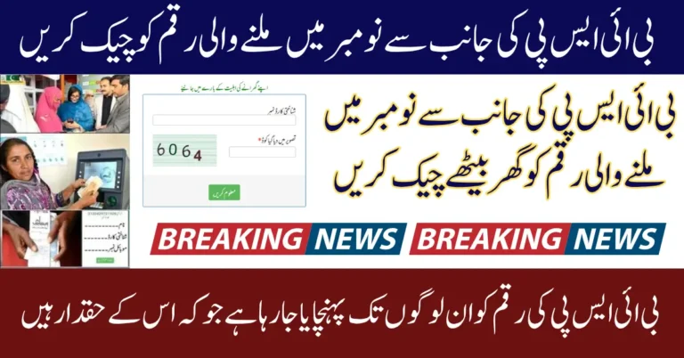BISP Payment November 2025 Update Check Online CNIC Status Know Full Guide Step By Step