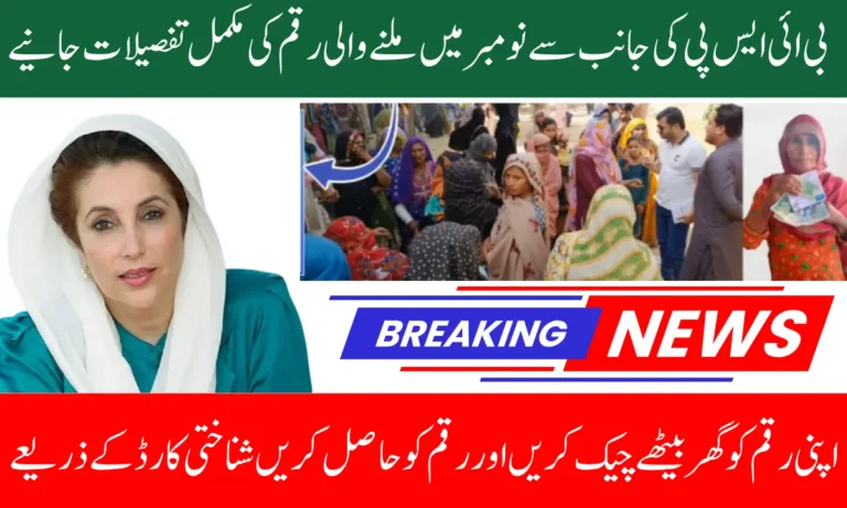 BISP Payment November Districts List Revealed Phase 2 Announced Know Full Guide Step By Step
