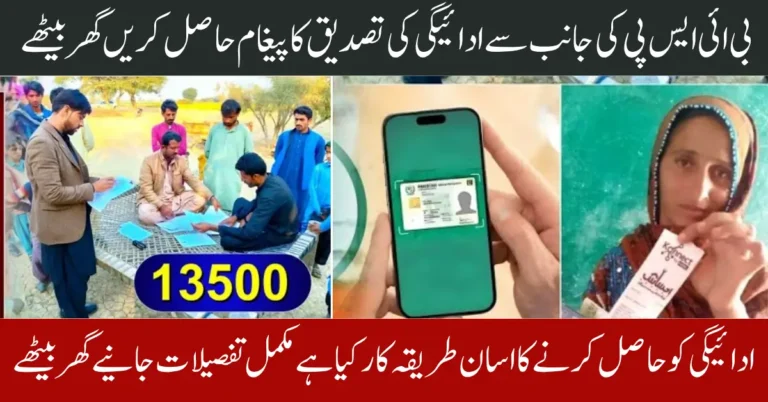 BISP Payment Through 8171 Message Confirmation And Get 13500 In Direct Bank Account Full Guide