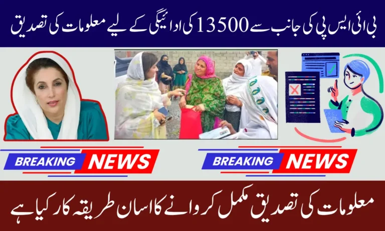 BISP Re-verification 2025 For December Payment Withdrawal – Know Full Guide Step By Step