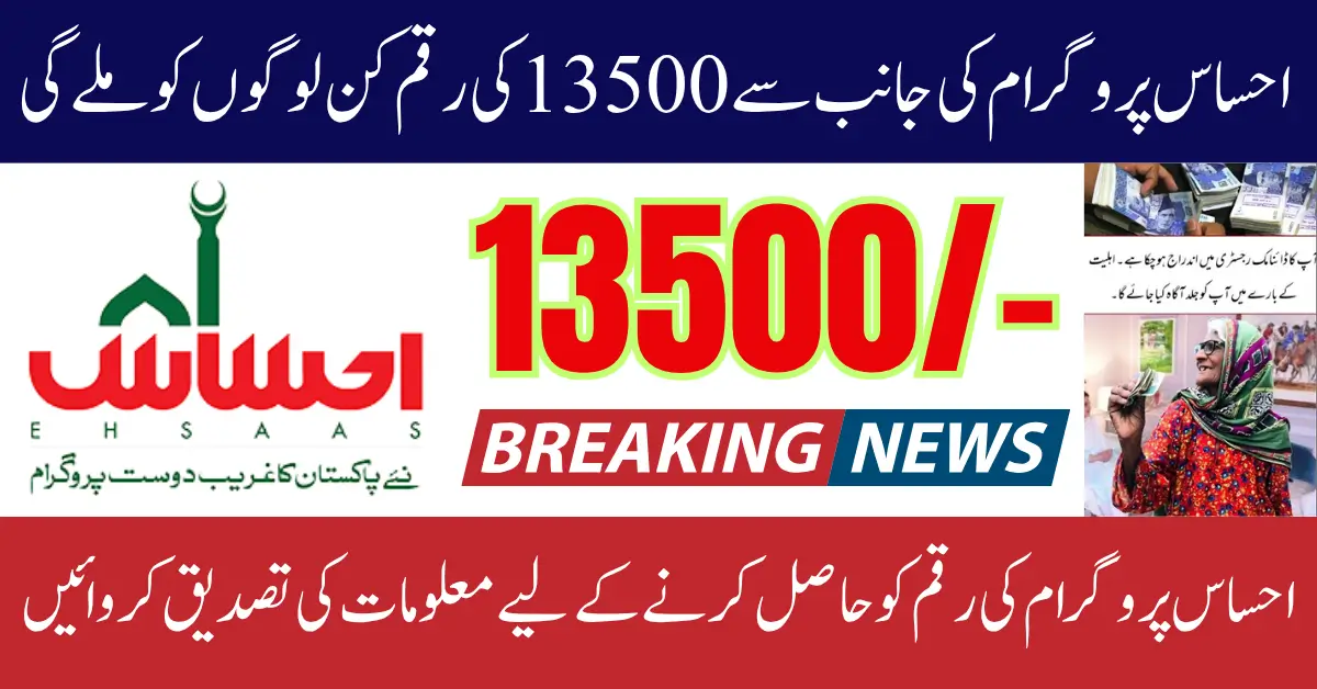 Ehsaas 8171 New Payment 2025 Results by CNIC Using Online Portal Know Full Guide Step By Step