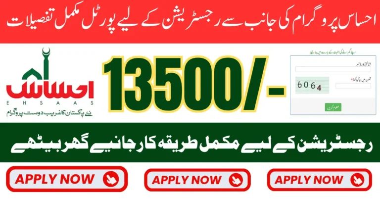 Ehsaas Program Registration Form 2025 Complete Method To Fill And Get ₨13,500