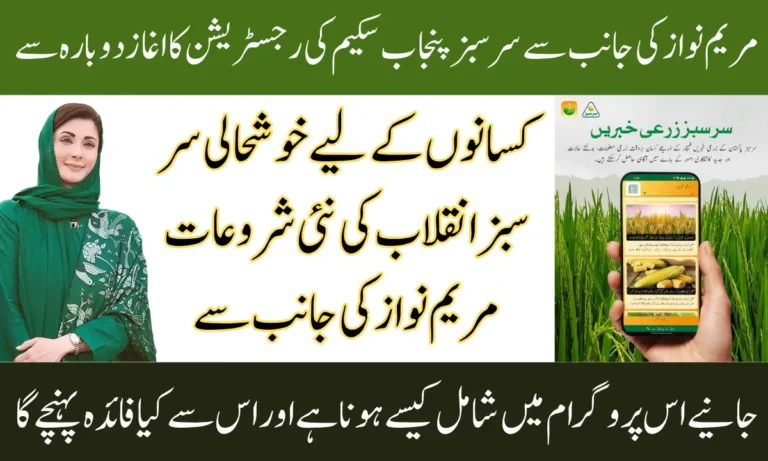 Sarsabz Punjab Scheme 2025 Details Online Apply Through Web Portal Full Guide